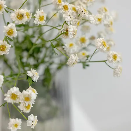 Pinea 103 - Z Widokiem Na Morze - Basen, Sauna, Jacuzzi W Cenie Pobytu! - Easy - Rent アパート