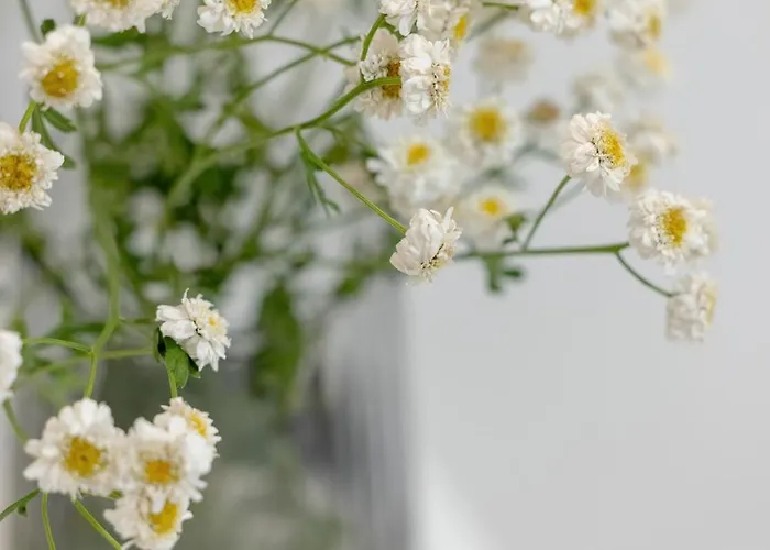 Pinea 103 - Z Widokiem Na Morze - Basen, Sauna, Jacuzzi W Cenie Pobytu! - Easy - Rent Appartement